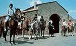 Photo hébergement n°1561 dans Les Deux Sèvres - Gites de france Photo hébergement n°1561 dans Les Deux Sèvres - Gites de france